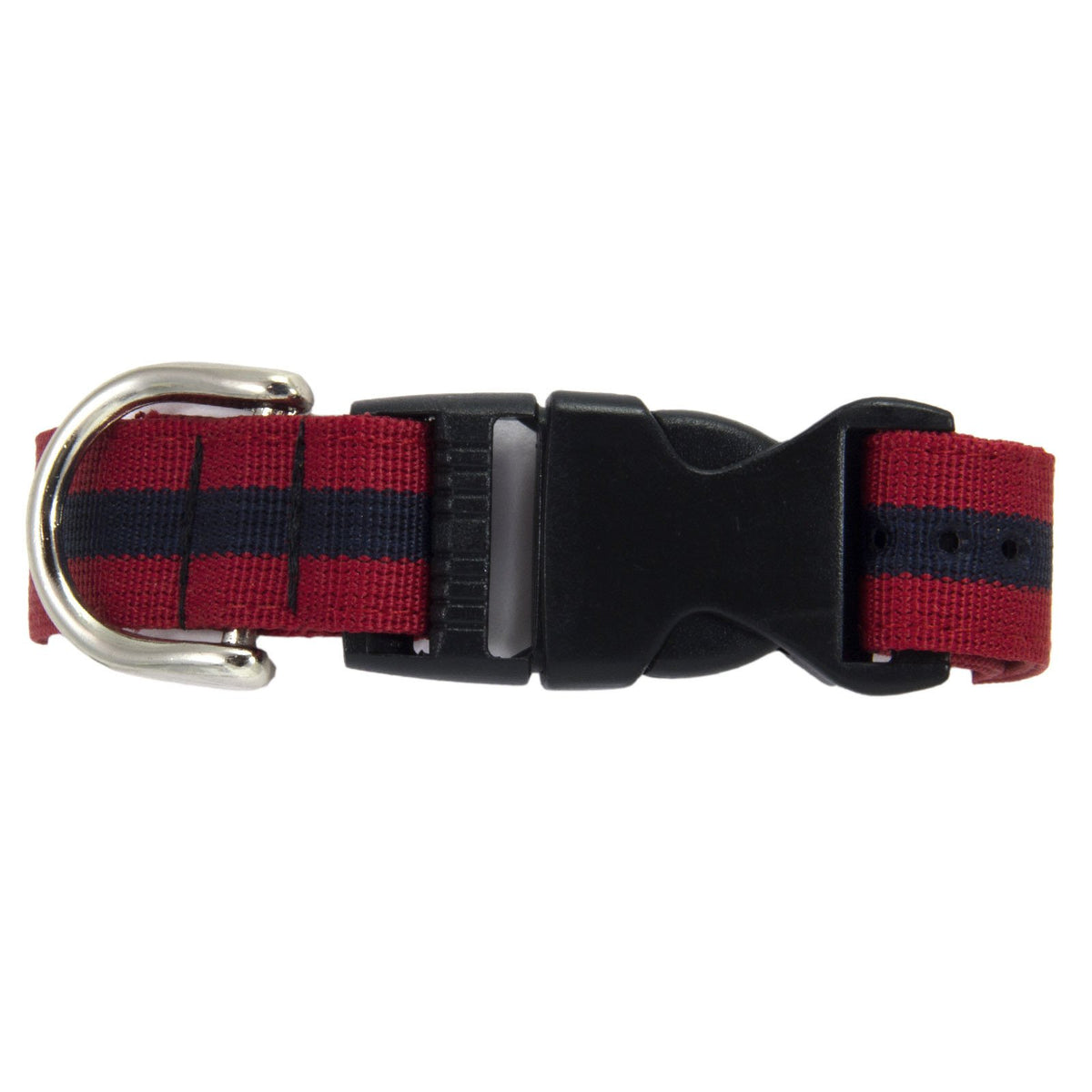 Adjutant General's Corps Dog Collar