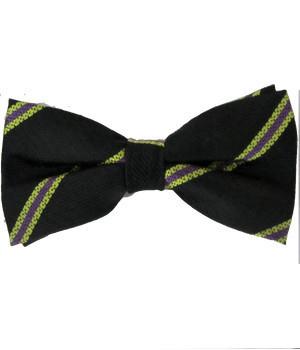3 Batt. Royal Anglian Regiment Silk Non Crease Pretied Bow Tie