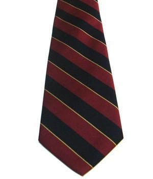 1st The Royal Dragoons Polyester Tie