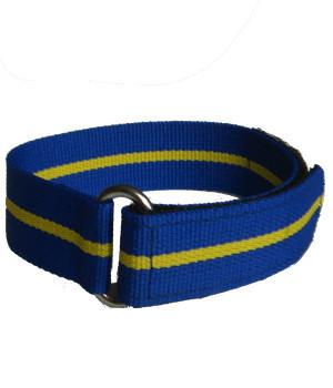 3 Royal Horse Artillery Sports Watchstrap